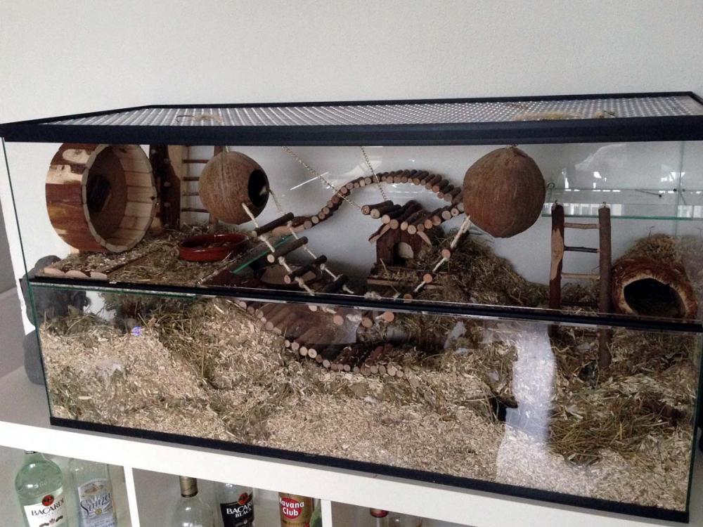 Gerbilarium 100x40x50